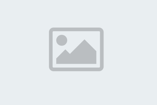 Software and Application Development